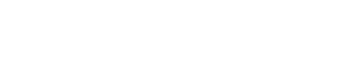 connectors logo